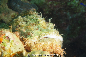Looking for Treasures beneath rocks.. by Martin Wynistorf 